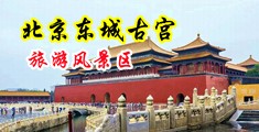 美女任你搞中国北京-东城古宫旅游风景区